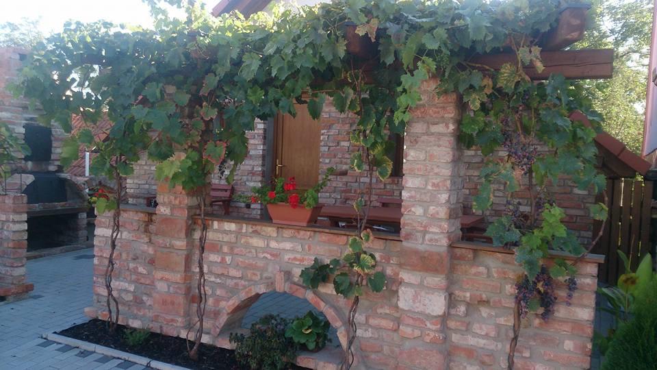Apartment U Pavelku Mutěnice المظهر الخارجي الصورة
